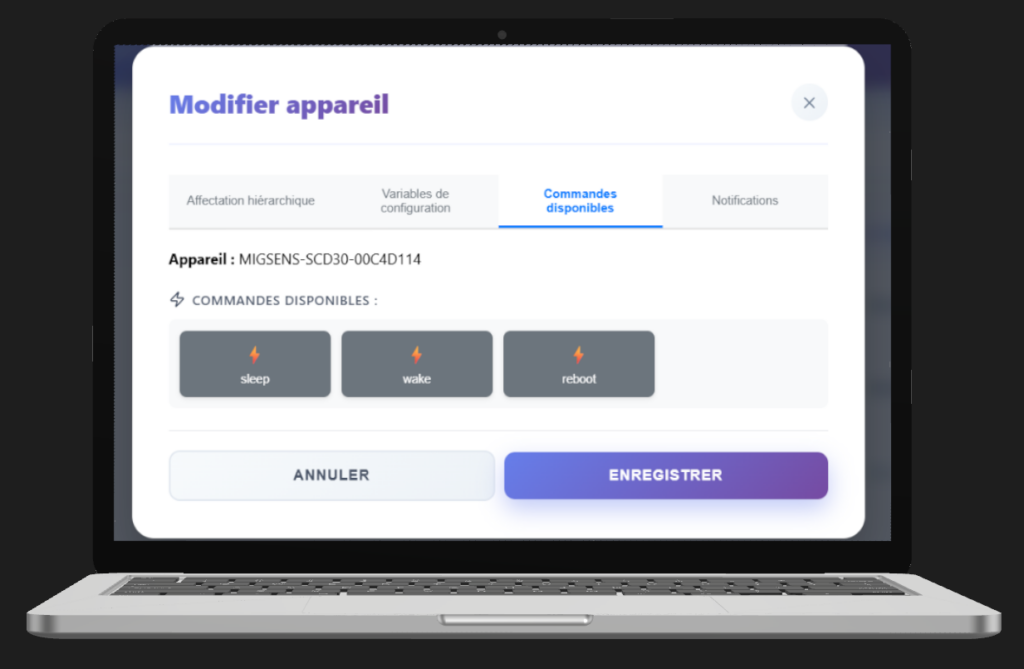 Fenêtre de configuration et d'envoi de commandes à l'appareil.
